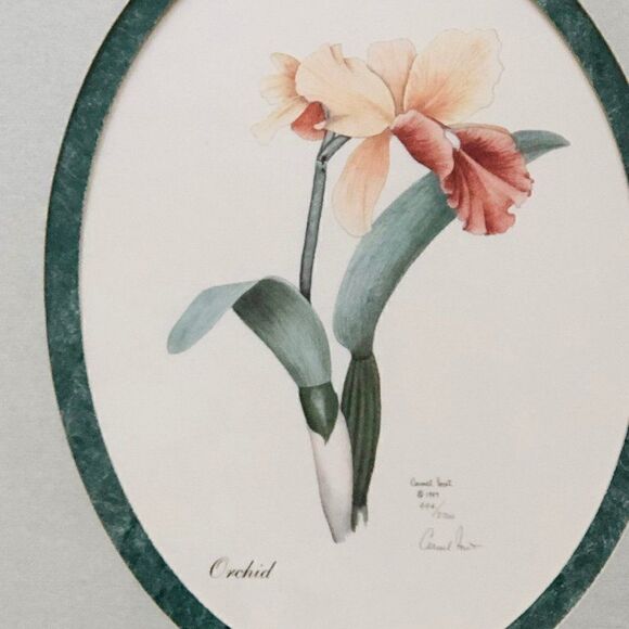 Print by Carmel Foret Petunia Orchid Botanical - Picture 6 of 9